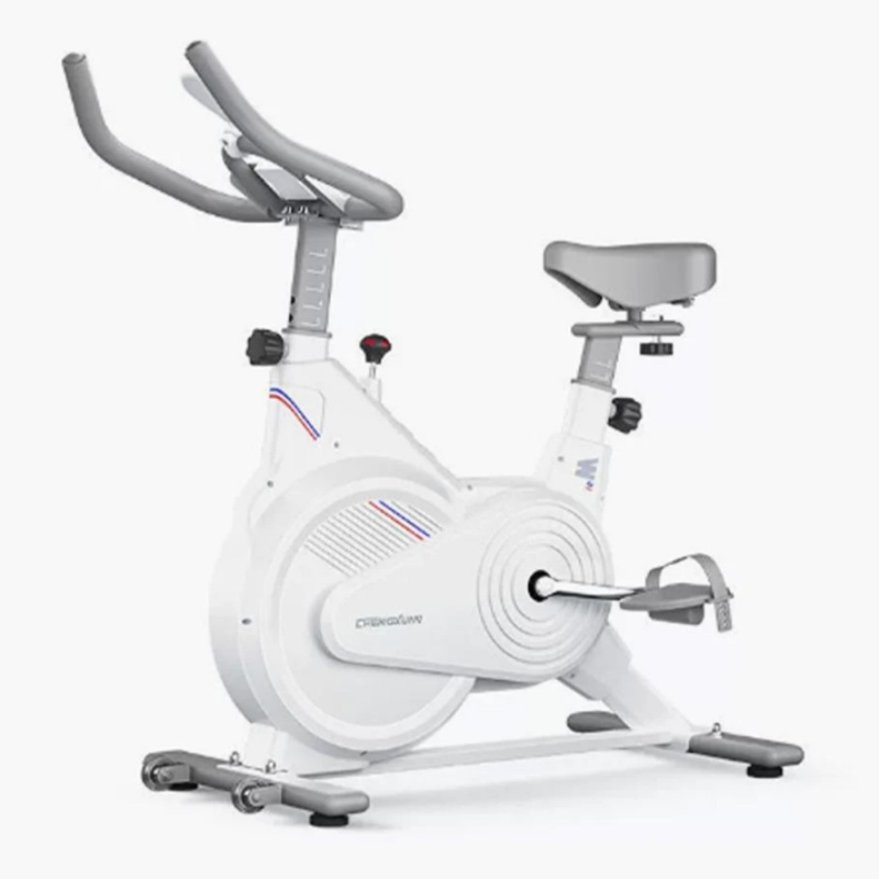 İç Mekan Sabit Spin Bisikleti, - Leg Home Gym Workout incelemesi ve fiyatı
